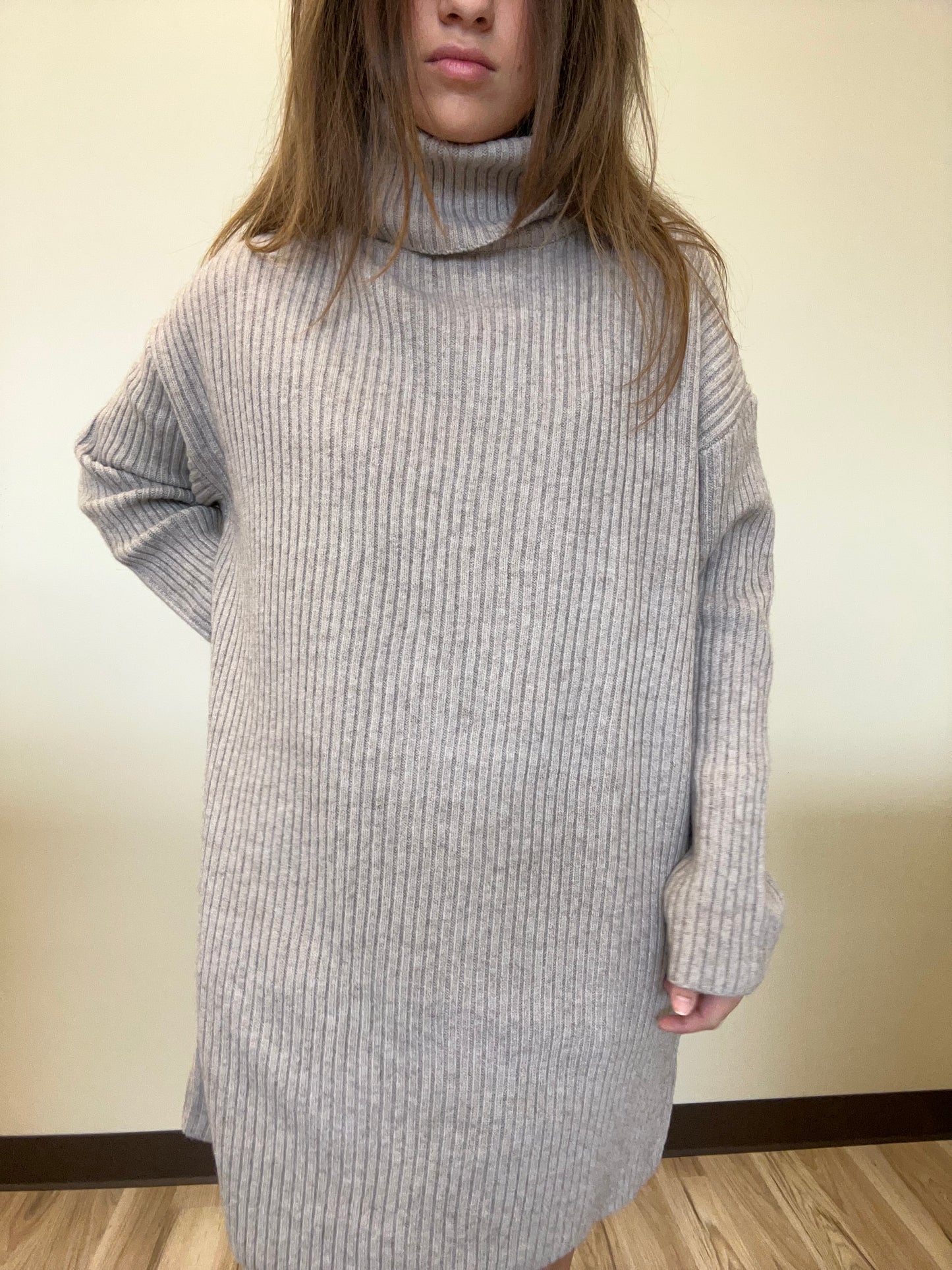 TURTLE NECK KNIT SWEATER DRESS